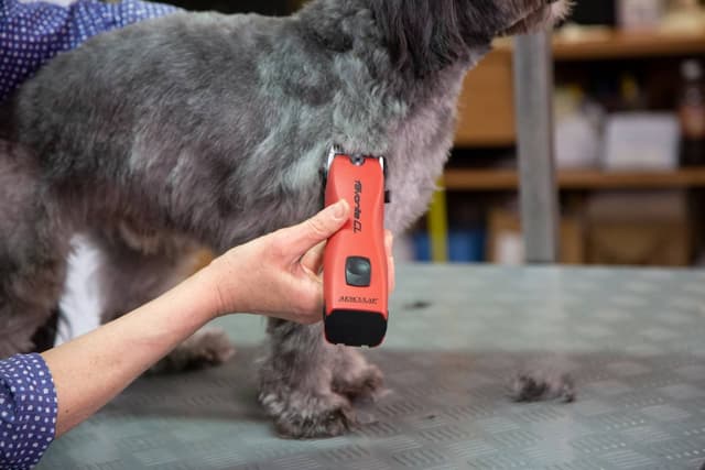 Maszynka do strzyżenia Favorita CL dla małych zwierząt