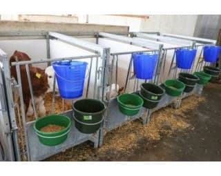 Wiadro do pojenia cieląt, "Food Safe", ze skalą, 8 l, transparentne, niebieskie, Kerbl