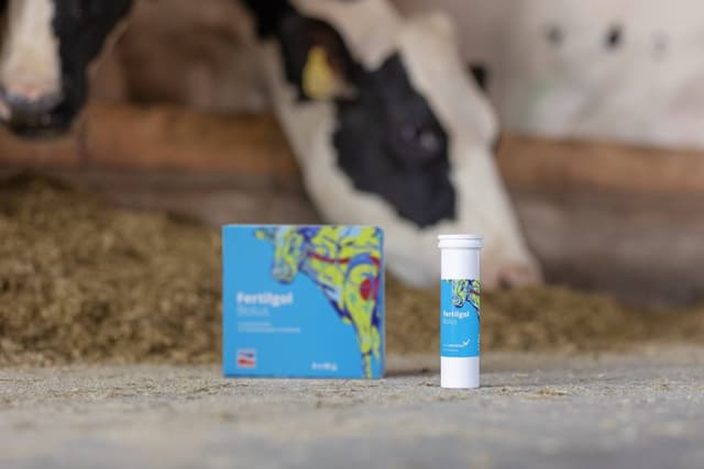 Bolus dla krów Fertilgol 8x95g, Agrochemica