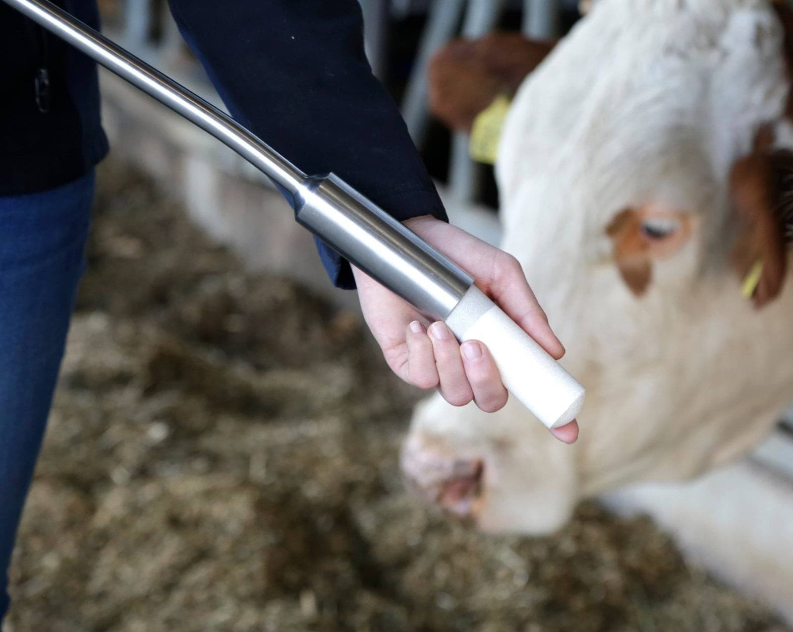 Bolus wapniowy Calzogol Bolus 4 x 175 g Agrochemica