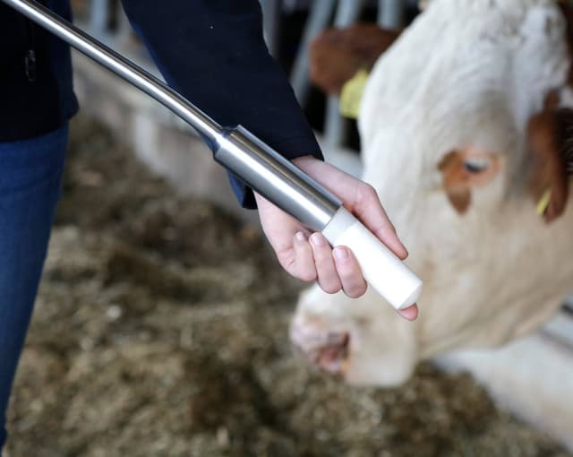 Bolus wapniowy Calzogol Bolus 4 x 175 g Agrochemica