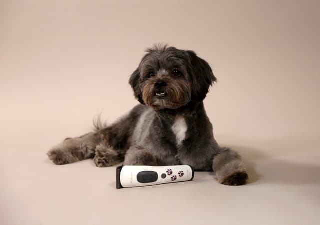 Maszynka do strzyżenia małych zwierząt Akkurata