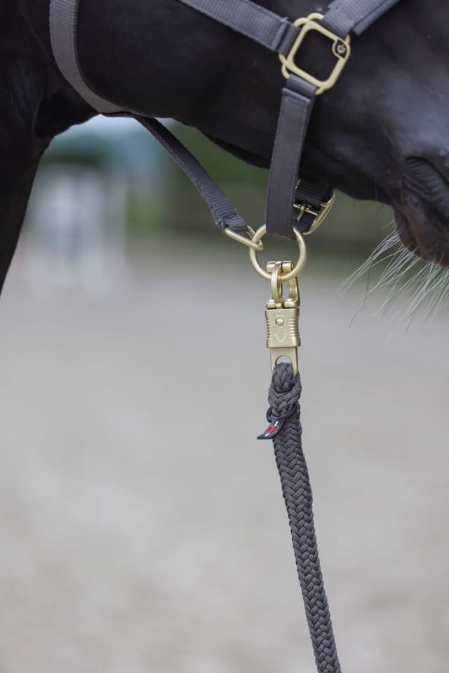Uwiąz dla konia Classy szary 200 cm z bezpiecznym karabińczykiem Covalliero