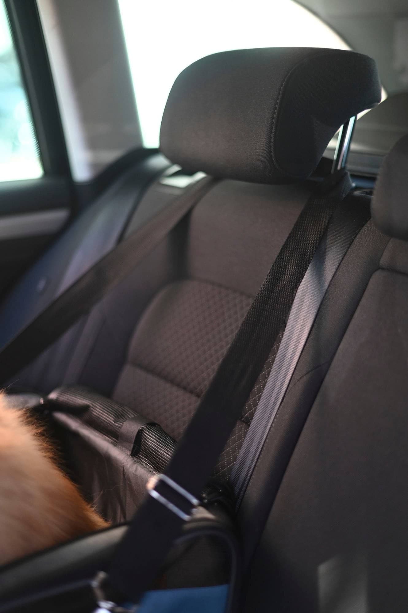 Torba podróżna dla psa Vacation, szaro-niebieska, Kerbl