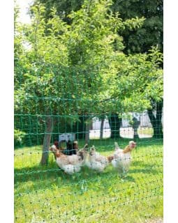 Siatka nieelektryczna dla drobiu Kerbl, 50 m