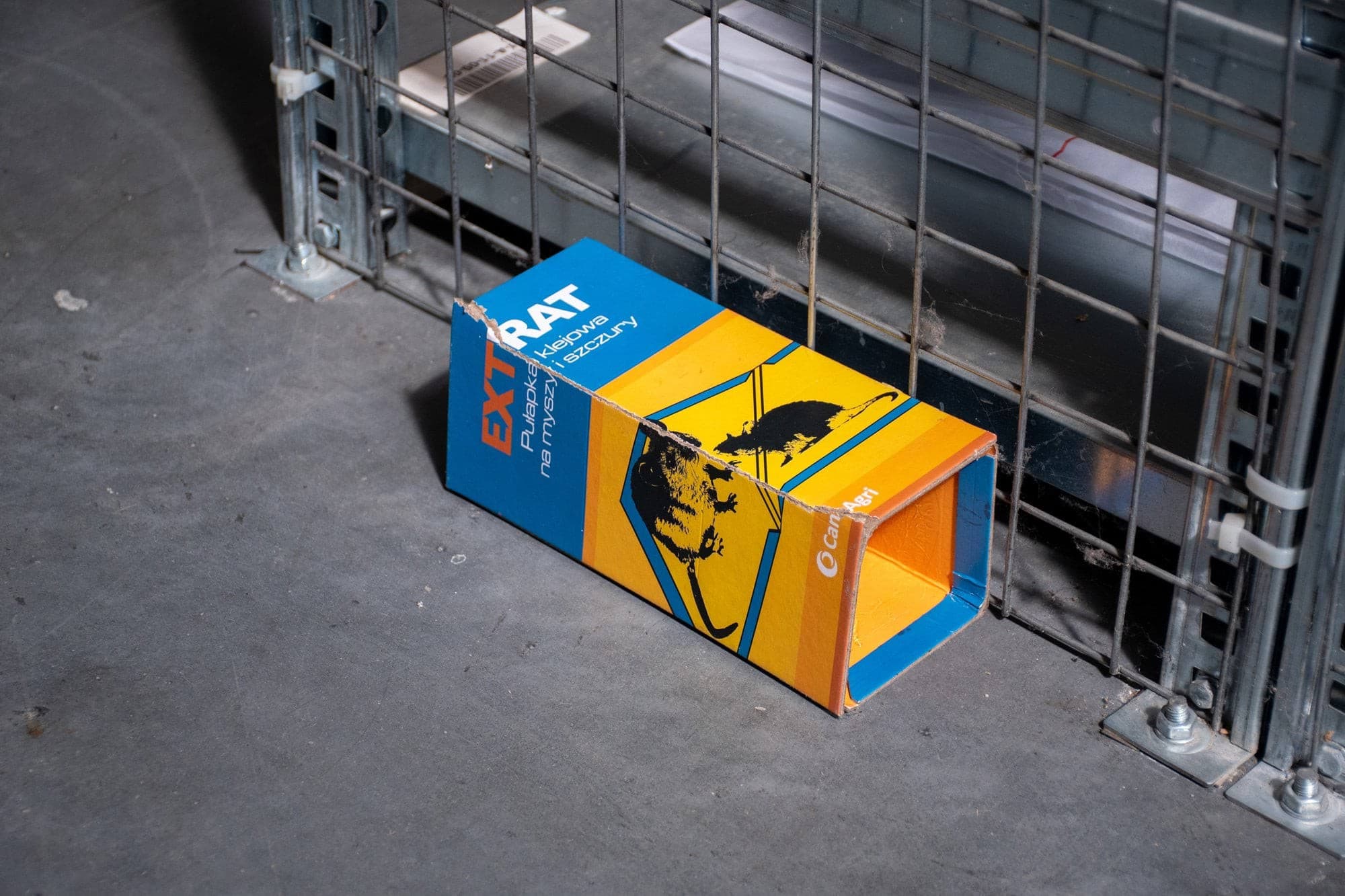 Pułapka klejowa XL na myszy i szczury z wabikiem Extrat 31x21 cm