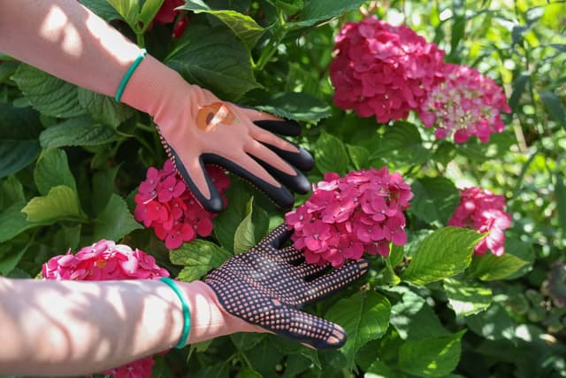 Rękawice ogrodowe Blossom nitrylowe z wypustkami morelowe rozmiar 7