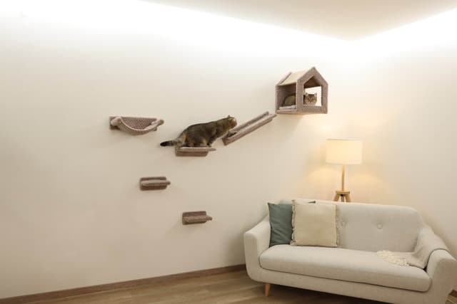 Ścianka wspinaczkowa dla kota Monte Baldo, Kerbl