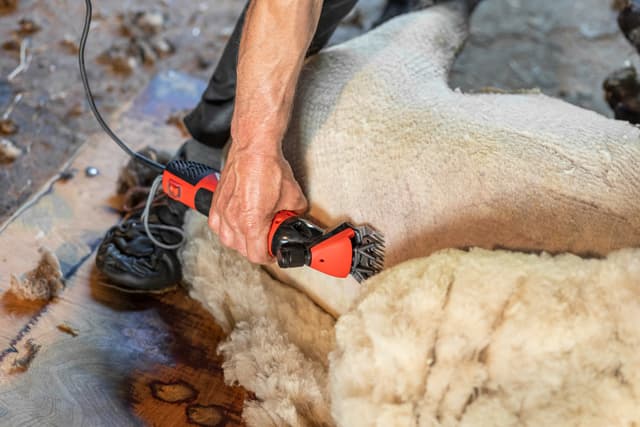 Maszynka do strzyżenia owiec Clipster FarmClipper Profi