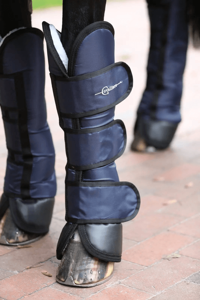 Pakujemy się na zawody